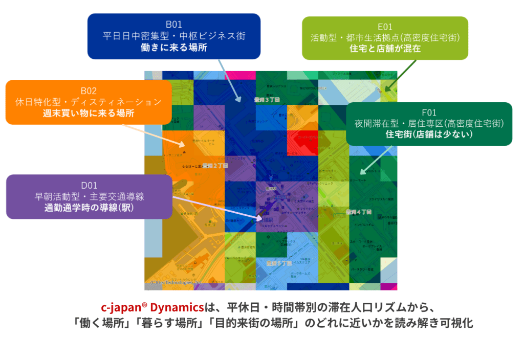 c-japan Dynamics特徴説明